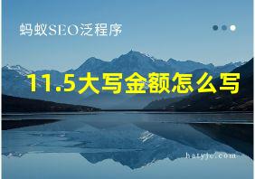 11.5大写金额怎么写