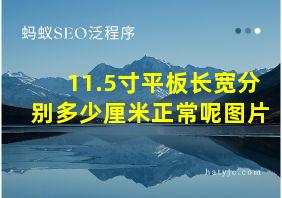 11.5寸平板长宽分别多少厘米正常呢图片