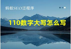 110数字大写怎么写