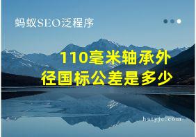 110毫米轴承外径国标公差是多少