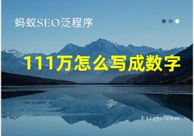 111万怎么写成数字