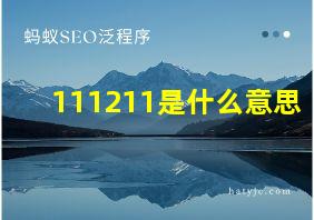 111211是什么意思