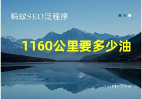 1160公里要多少油