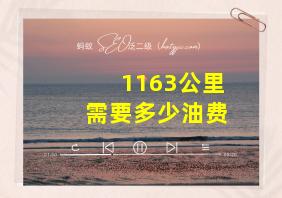 1163公里需要多少油费