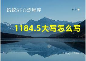 1184.5大写怎么写