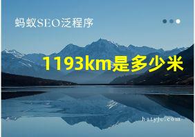 1193km是多少米