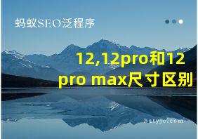 12,12pro和12 pro max尺寸区别