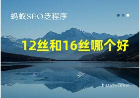 12丝和16丝哪个好