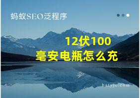 12伏100毫安电瓶怎么充