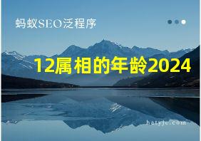 12属相的年龄2024