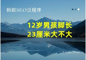 12岁男孩脚长23厘米大不大