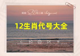 12生肖代号大全