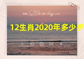 12生肖2020年多少岁