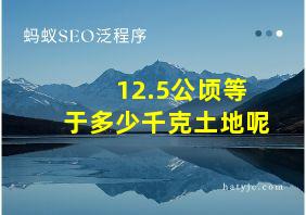 12.5公顷等于多少千克土地呢