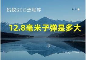 12.8毫米子弹是多大