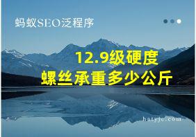 12.9级硬度螺丝承重多少公斤