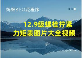 12.9级螺栓拧紧力矩表图片大全视频