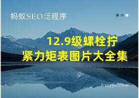 12.9级螺栓拧紧力矩表图片大全集