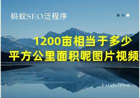 1200亩相当于多少平方公里面积呢图片视频