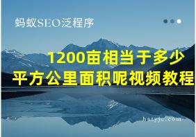 1200亩相当于多少平方公里面积呢视频教程