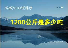 1200公斤是多少吨