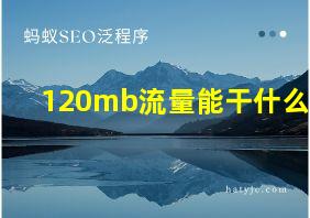 120mb流量能干什么