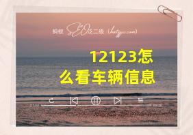 12123怎么看车辆信息