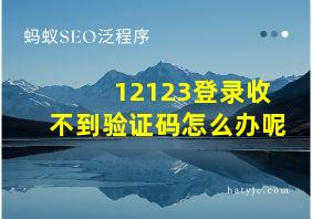 12123登录收不到验证码怎么办呢