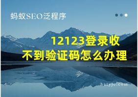 12123登录收不到验证码怎么办理