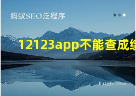 12123app不能查成绩