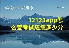 12123app怎么查考试成绩多少分