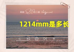 1214mm是多长