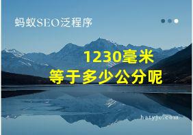 1230毫米等于多少公分呢