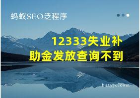 12333失业补助金发放查询不到