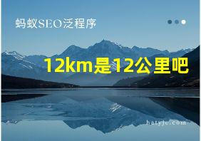 12km是12公里吧