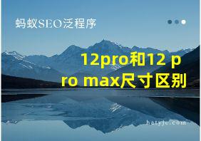 12pro和12 pro max尺寸区别