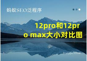 12pro和12pro max大小对比图