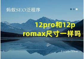 12pro和12promax尺寸一样吗