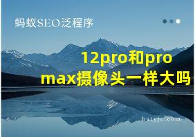 12pro和promax摄像头一样大吗