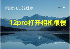 12pro打开相机很慢