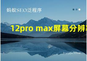 12pro max屏幕分辨率