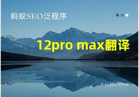 12pro max翻译