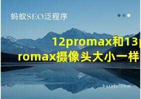 12promax和13promax摄像头大小一样吗