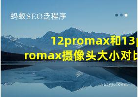 12promax和13promax摄像头大小对比