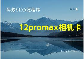 12promax相机卡