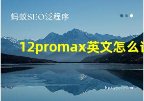 12promax英文怎么读