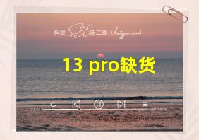 13 pro缺货