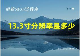 13.3寸分辨率是多少