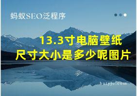 13.3寸电脑壁纸尺寸大小是多少呢图片