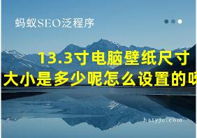 13.3寸电脑壁纸尺寸大小是多少呢怎么设置的呀